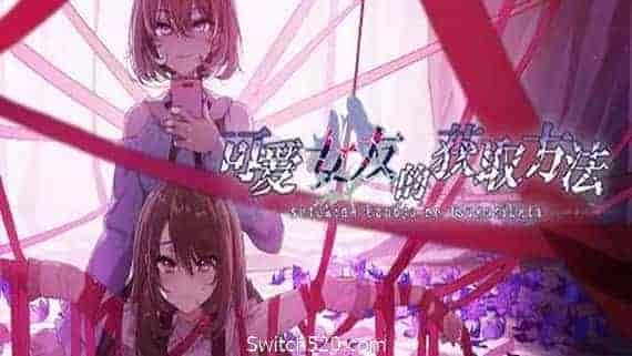 可爱女友的获取方法(V1.1.34-6596853完整版)