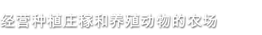 澳洲梦想镇|官方中文|即撸版|