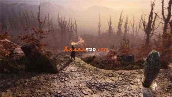 堕落圣杯 征服|官方中文|Build.8649894-恶魔契约-死亡庇护|免费分享|