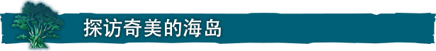 海之呼唤|官方中文|Build.7051373-海风吟唱-旅人思绪|免费分享|