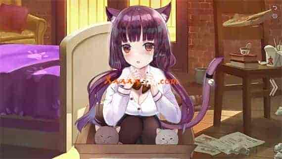 猫办公室 夜生活冒险|官方中文|Build.10954970|免费分享|
