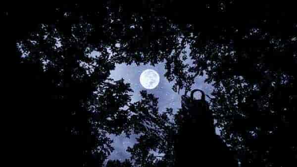 恶魔之影 Shadow Of The Devil|官方中文|免费分享|