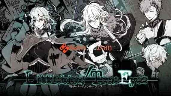 Littlebird TrueEyes/原汁日文/[NSP-XCI][原版+魔改11.0.0]