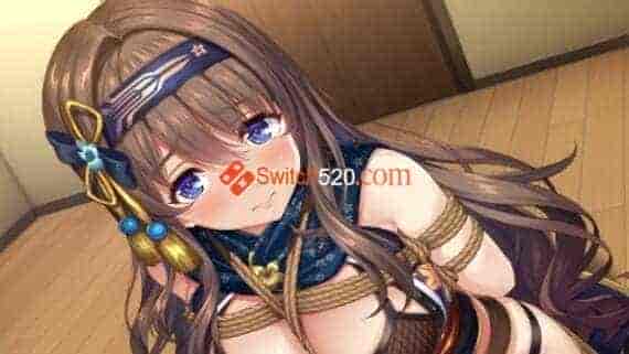 性感女忍同居生活2/官方中文/[NSP-XCI][原版+魔改10.2.0]