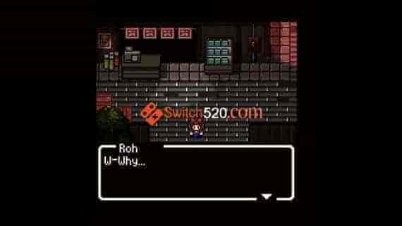 红色蝴蝶结/官方中文/本体+1.0.1升补/[NSZ]