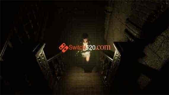 0010.jpg 受折磨的灵魂|官方中文|本体+1.0.1升补|NSZ|原版|