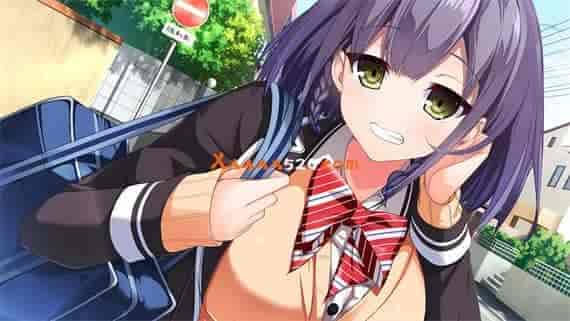 リアルエロゲシチュエーション！DT|汉化中文|NSZ|原版|