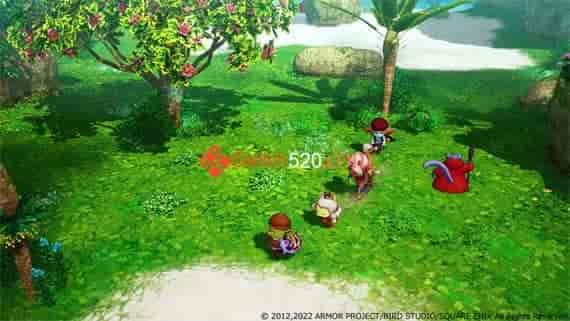 勇者斗恶龙10 觉醒的五种族 离线版|原汁日文|本体+2.0.1补丁+10DLC|NSZ|原版|
