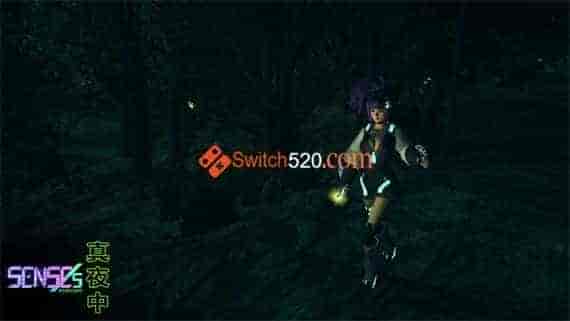 真夜中|官方中文|本体+1.0.3升补|NSZ|原版|