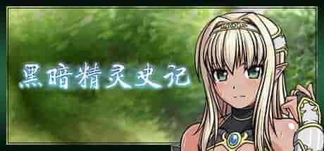 黑暗精灵史记Dark Elf Historia PC中文+攻略 2.56G