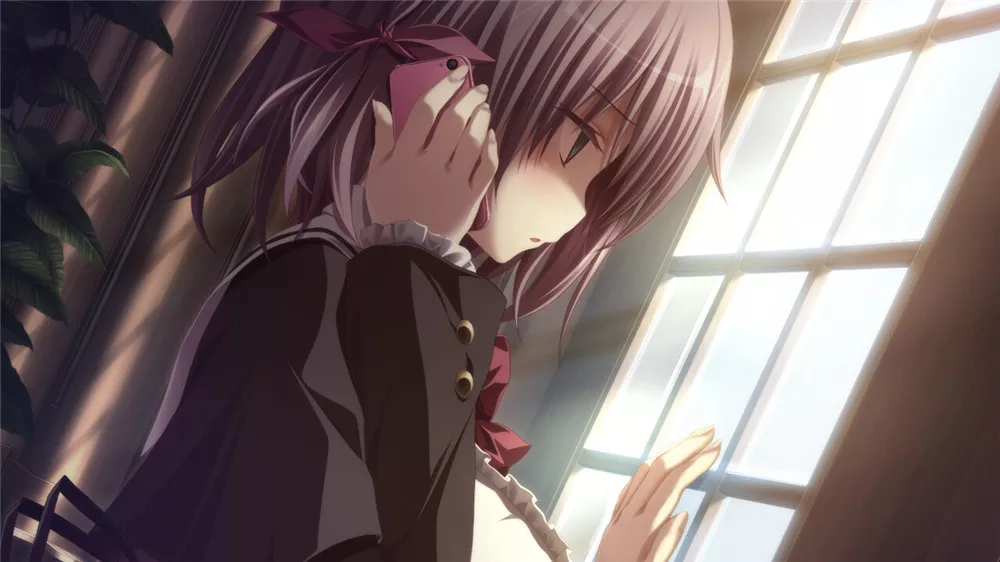 PC英文 青鸟Aoi Tori v1.0 11.0G