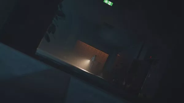 女鬼桥二 释魂路|官方中文|Build.14317086+全DLC|解压即撸|
