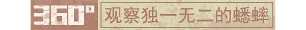 沉默的蟋蟀|官方中文|Build.14423658-1.2.1HF-虫季代打功能+全DLC|解压即撸|