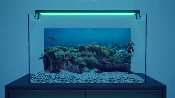 壮士水族馆 肌肉水族馆模拟器|官方中文|解压即撸|