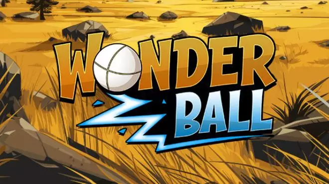 PC中文 神奇球Wonder Ball 2.13G