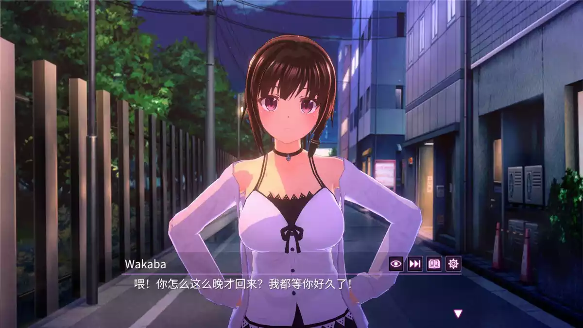 One Night ~仅限一夜的幼妻~/One Night ~Young Bride for One Night v1.00 PC中文攻略