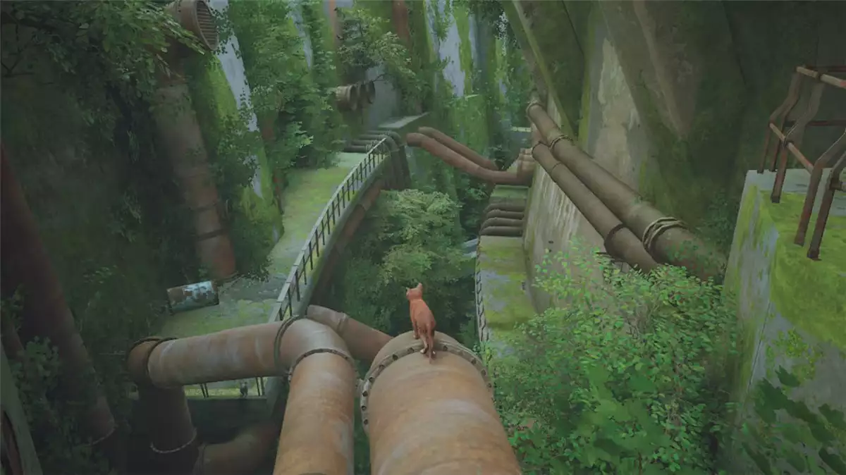 流浪猫Stray+更新1.6.0 Switch NSP中文