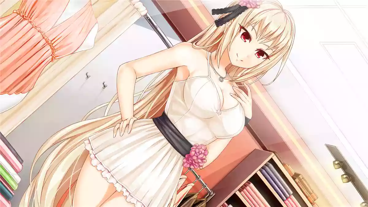 Ethereal Enigma永远的谜团 PC