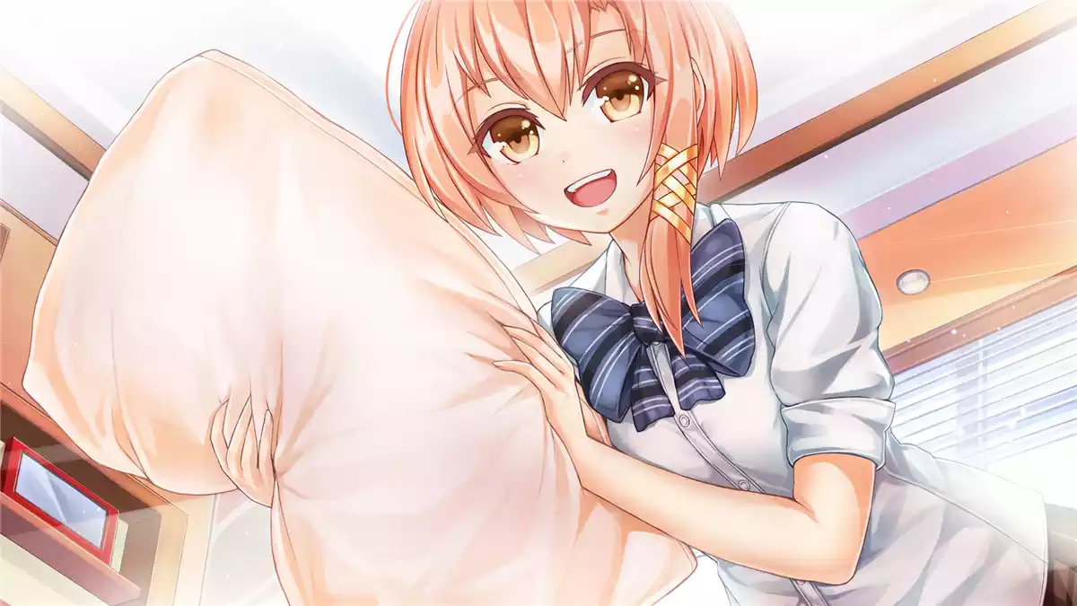 Ethereal Enigma永远的谜团 PC