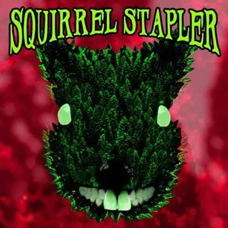 订鼠机Squirrel Stapler Switch NSP (更新) (eShop)中文