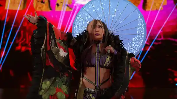 WWE 2K24|豪华英文|V1.25-狂暴战吼-碎星崩地+WCW卡包+全DLC|解压记录|