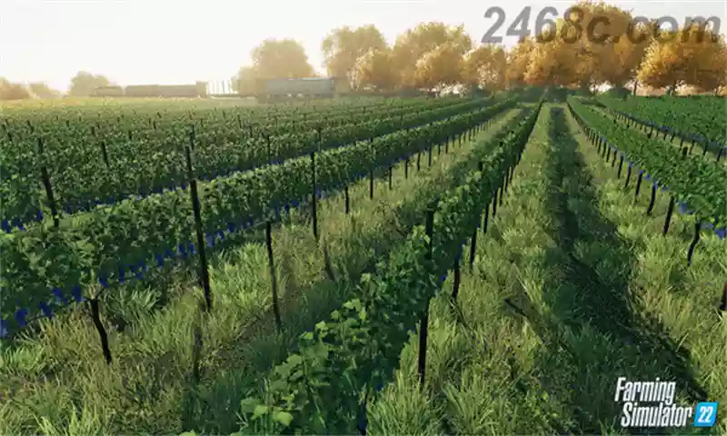 1707843865-a3a3b6ea72d16a0.webp 模拟农场22.Farming Simulator 22