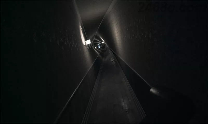 1707926816-6d914e55a644b9a.webp 面容.Visage
