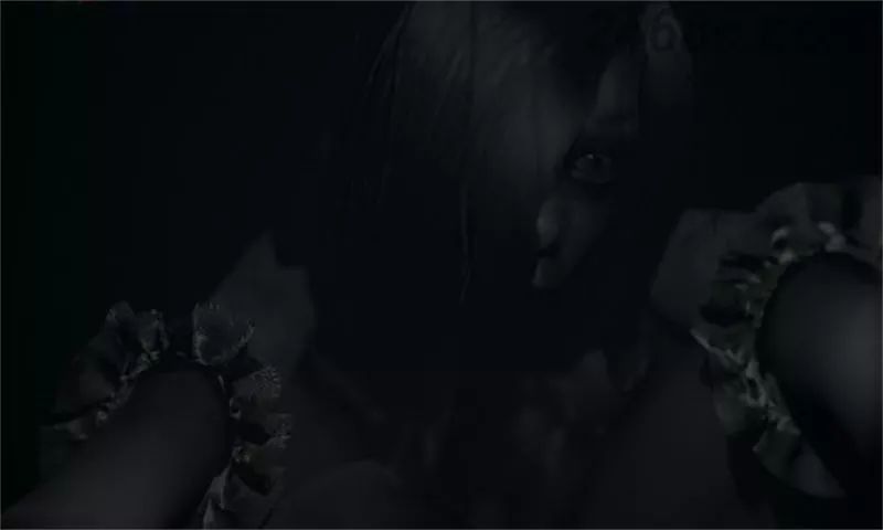 1707926816-39b2536c4dc8503.webp 面容.Visage