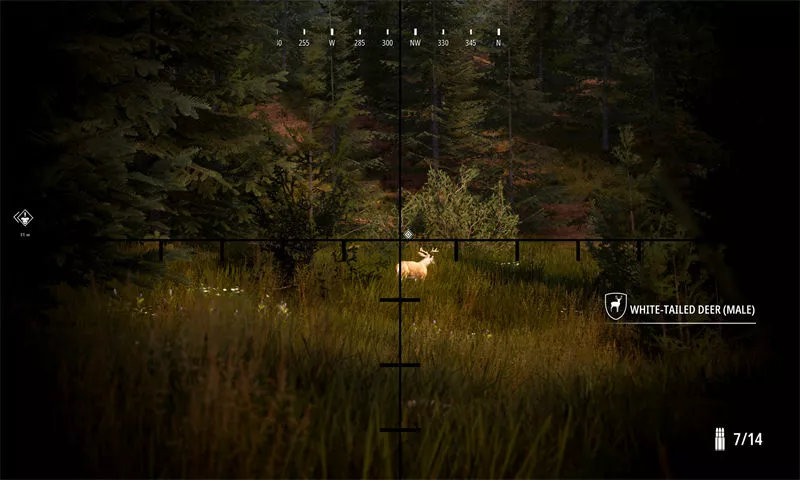 ss_fd8da3015ebc9425faa3314312d1995abd95c478.1920x1080.webp 模拟狩猎2.Hunting Simulator 2