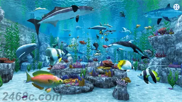 真实钓鱼VR Real VR Fishing DLC解锁版|Quest VR游戏