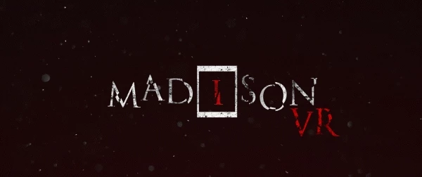 麦迪逊 VR Madison VR 中文