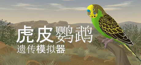 《虎皮鹦鹉遗传模拟器 Budgie Genetics Simulator》羽色变异观察模拟 | 遗传学爱好者必玩！