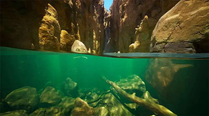 潜水VR Subside VR | Steam/PC串流游戏