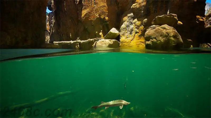 潜水VR Subside VR | Steam/PC串流游戏