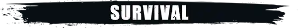 生存国度VR Survival Nation | Quest 一体机游戏 VR