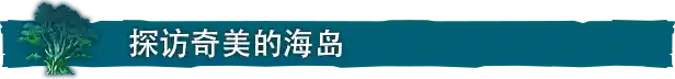 海之呼唤VR Call of the Sea | Quest 一体机游戏 VR