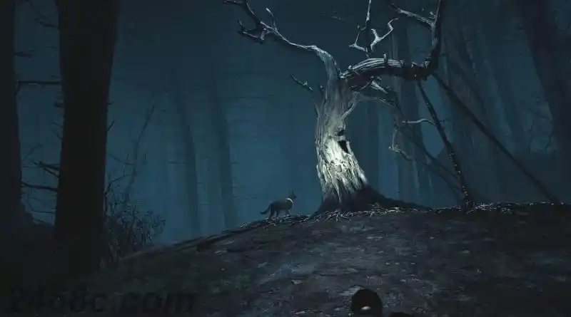 布莱尔女巫 Blair Witch: Oculus Quest Edition | Quest 一体机游戏 VR