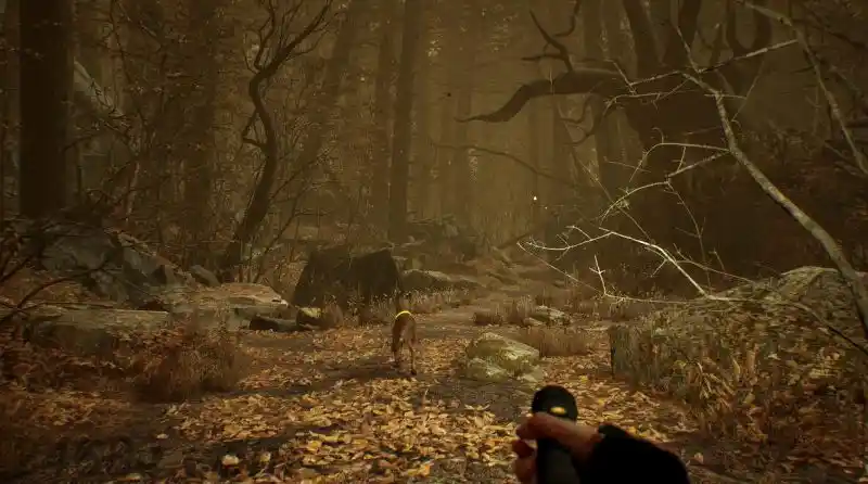 布莱尔女巫 Blair Witch: Oculus Quest Edition | Quest 一体机游戏 VR