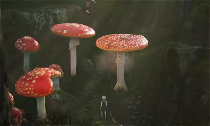 1703122355-99ad8dde8901fe4.webp 荆棘:群山之王.Bramble The Mountain King | PS4游戏