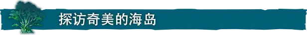 海的呼唤.Call of the Sea | PS4游戏