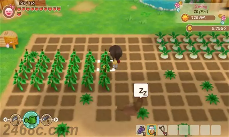 牧场物语：重聚矿石镇.STORY OF SEASONS: Friends of Mineral Town | PS4游戏