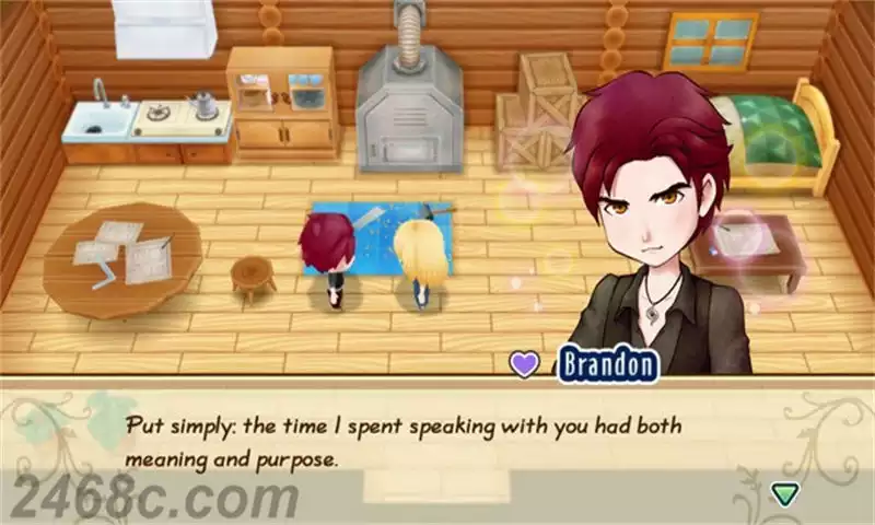 牧场物语：重聚矿石镇.STORY OF SEASONS: Friends of Mineral Town | PS4游戏