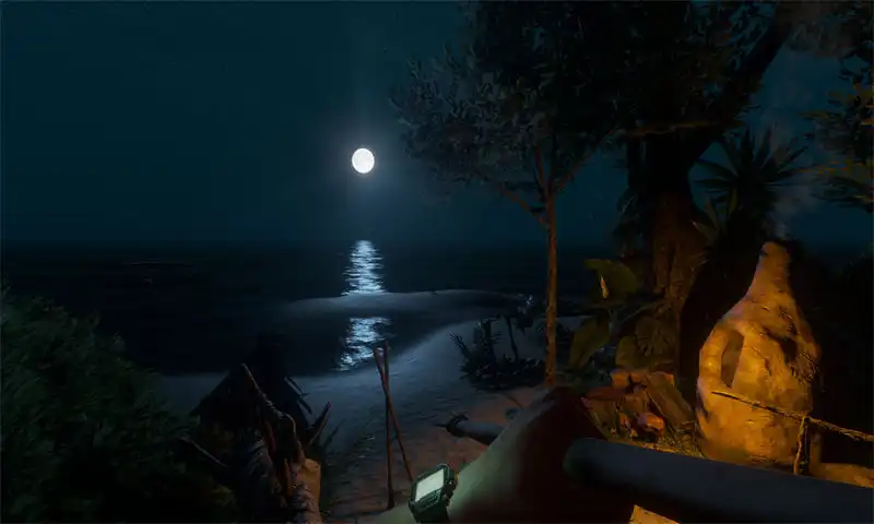 1706398325-ecfa59809d191dc.webp 荒岛求生.Stranded Deep | PS4游戏