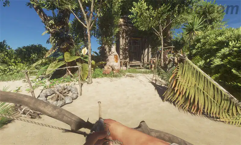 1706398328-f771c06b1807917.webp 荒岛求生.Stranded Deep | PS4游戏