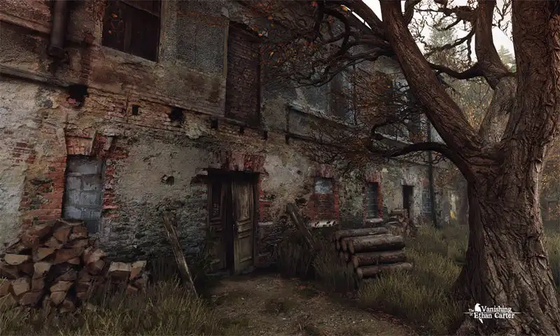 伊森卡特的消失.The Vanishing of Ethan Carter | PS4游戏