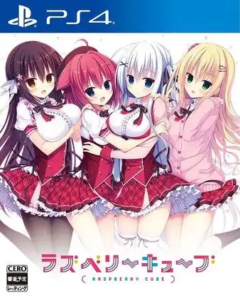 树莓立方体.Raspberry Cube | PS4游戏