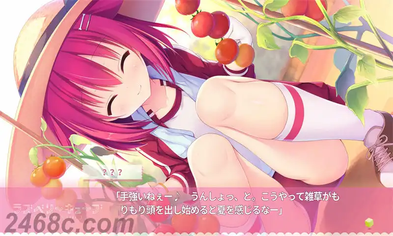 树莓立方体.Raspberry Cube | PS4游戏