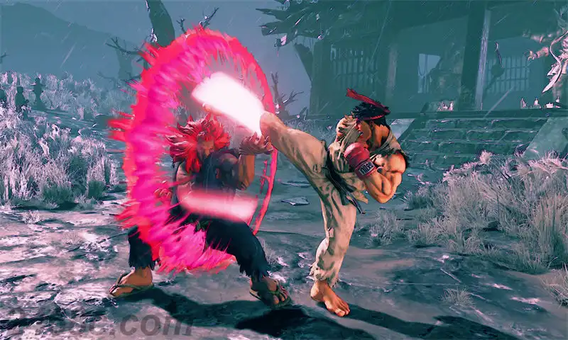1705336013-2aa6ff8edc28964.webp 街头霸王V:街机版.Street Fighter V: Arcade Edition | PS4游戏