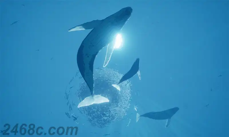 1705251903-ff7f2669b77d2fc.webp ABZU | PS4游戏