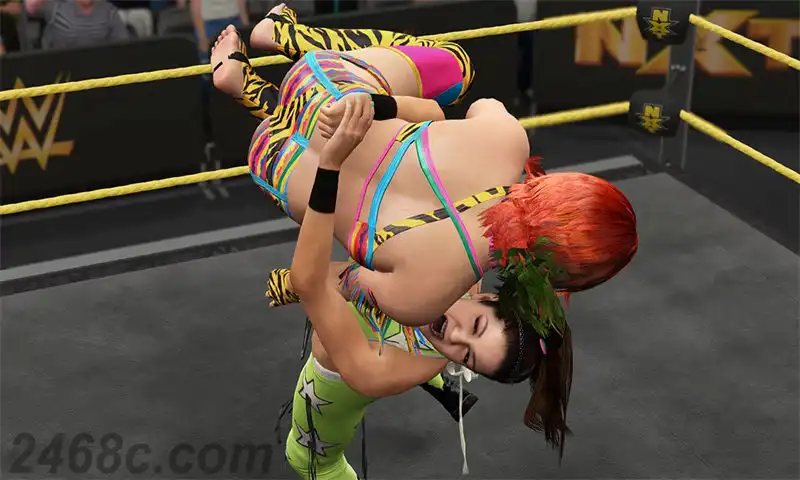 美国职业摔角联盟2K17.WWE 2K17 | PS4游戏